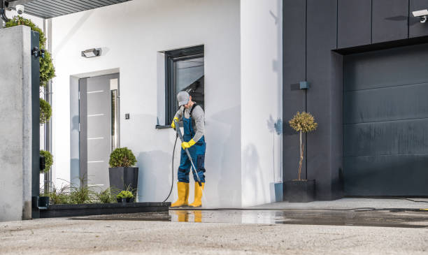 Best Gutter Cleaning and Brightening in Vidor, TX